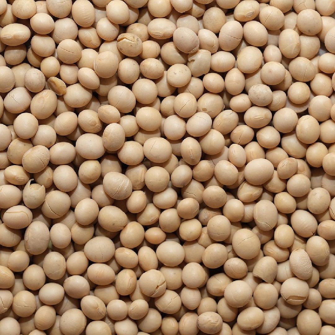 portfolio-soybeans
